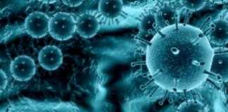 infecciones