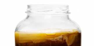 kombucha