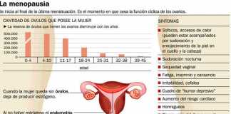 menopausia