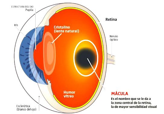 ojo