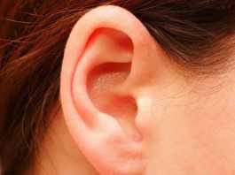 oreja