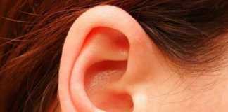 oreja