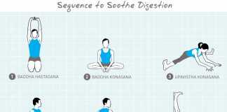 digestion