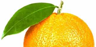naranjas