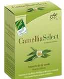 camelliaselect