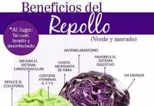Beneficios de incluir en la dieta Col Morada colmorada