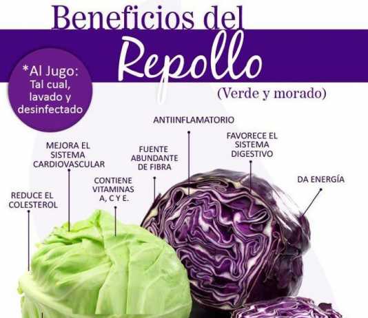 Beneficios de incluir en la dieta Col Morada colmorada
