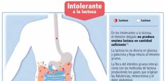 intolerante