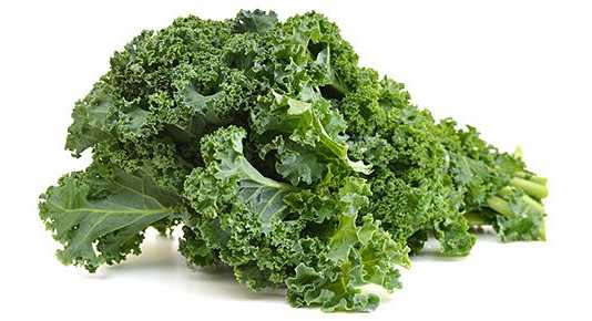 ¿Conoces la col Kale? una verdura muy saludable kale