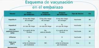 Embarazo-vacunas