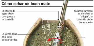 mate1