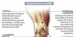 rodilla