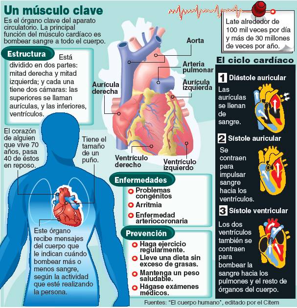 corazon