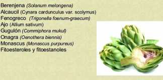 plantas-coleterol
