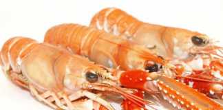 mariscada