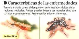 Malaria