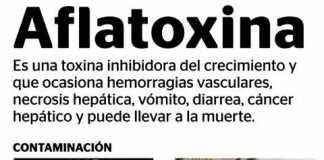 aflatoxinas-alimentos