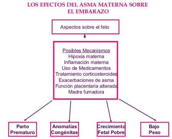 asma materna