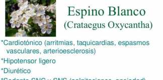 plantas-palpitaciones-espino-albar