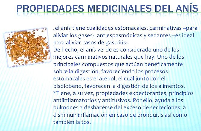 propiedades-anis