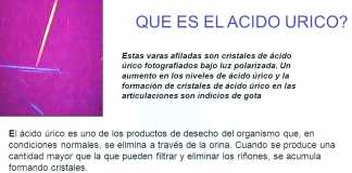 acido-urico