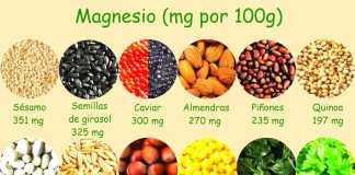 magnesio2