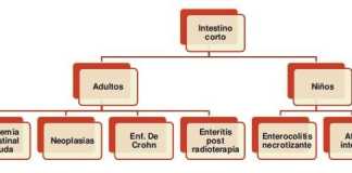sindrome-de-intestino-corto-7-638