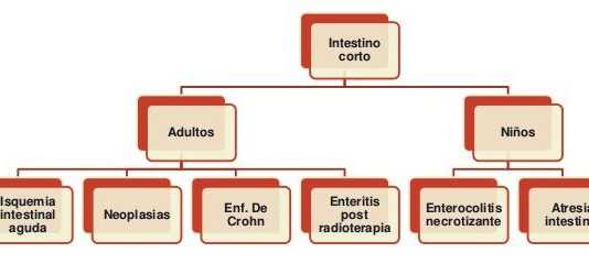 Sindrome del intestino corto sindrome-de-intestino-corto-7-638