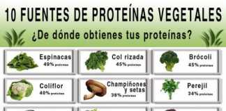 proteina-vegetal