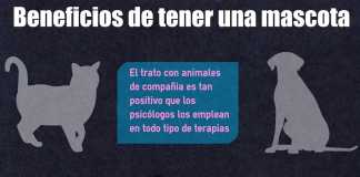 animales