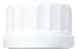 holifit_canela