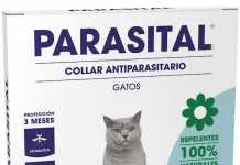 parasital_collar_gatos