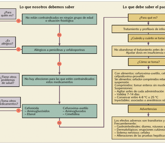 Alergia a los antibióticos penicilinas