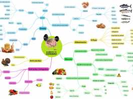 alimento-para-el-cerebro