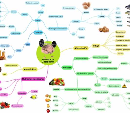 Nutrientes para tener una mente activa alimento-para-el-cerebro