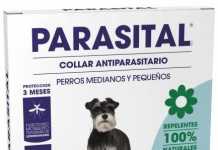 parasital_collar_pequeno