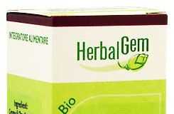 herbalgem_olmo_campestre