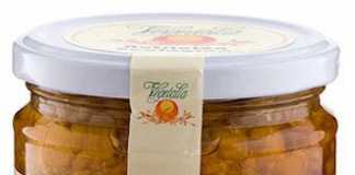tempe_vegetalia