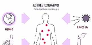 estres-oxidativo