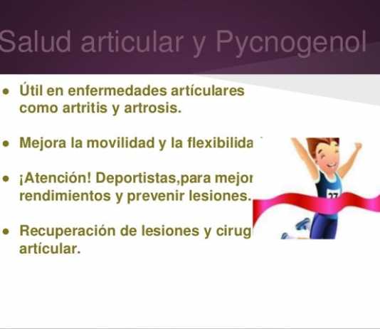 Pycnogenol ayuda a conservar masa y fuerza muscular en personas de edad avanzada pycongenol3