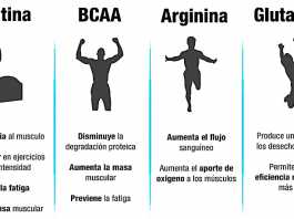 aminoacidos1