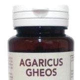 agaricus-90-cap-gheos