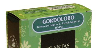 el_naturalista_gordolobo