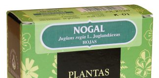 el_naturalista_nogal_planta_40gr
