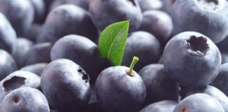 Alimentos-para-prevenir-el-cáncer-