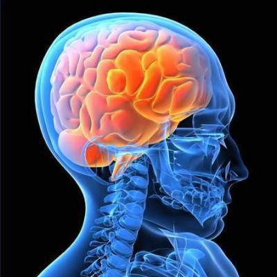 Encontrar un propósito para un cerebro más saludable Cerebro