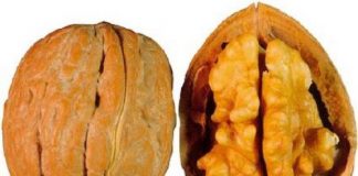 Consejos-simples-para-reducir-el-colesterol