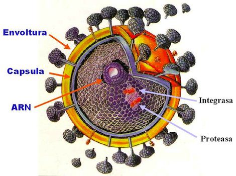 El sida, una enfermedad provocada por un virus indestructible