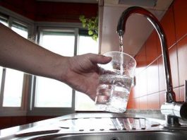 Mayor-tasa-de-alergias-a-alimentos-por-pesticidas-y-agua-potable