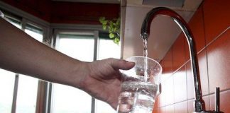 Mayor-tasa-de-alergias-a-alimentos-por-pesticidas-y-agua-potable